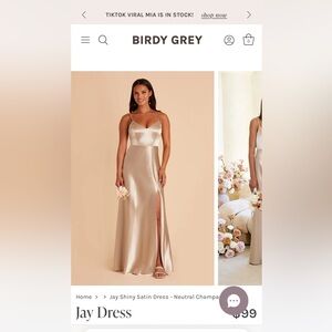Birdy Grey Bridesmaid Dress - Unaltered, worn once, already cleaned